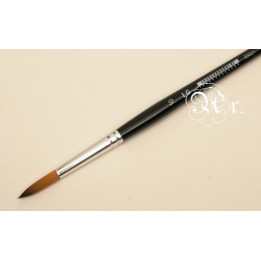 copy of 